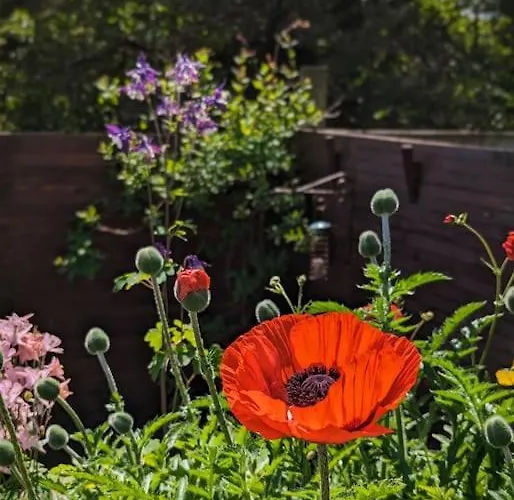 Luxury 18th Century Stone Built Semesterbostad Bentham