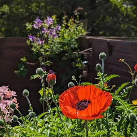 Luxury 18th Century Stone Built بيت للعطل Bentham